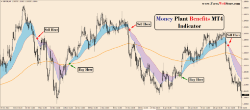 Forex Trading view indicator