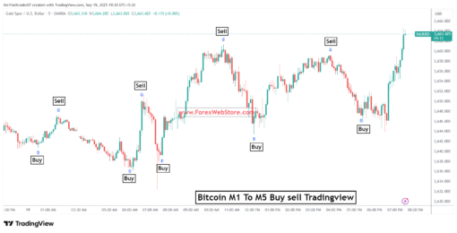 range filter buy and sell 5min