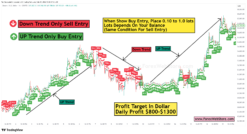 buy sell signal trading indicator