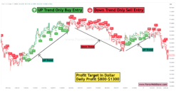 No More Losses Buy Sell Signal Indicator