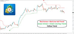 Best non repaint forex indicator Free TradingView indicators Forex scalping strategy 5 minute Accurate buy sell indicator Smart money forex indicator Trend following forex indicator Forex indicator for beginners