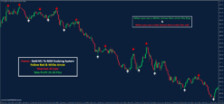 Forex Entry Indicator, Buy Sell Arrow Indicator, MT4 Scalping System, Forex Trend Indicator, Gold Trading Strategy, Forex Trading Signals, BTCUSD Indicator, Premium MT4 Indicator, Smart Money Indicator, Intraday Trading Indicator